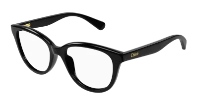 Chloe Optical Frame & Sunglasses Wholesaler